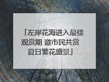 左岸花海进入最佳观赏期 邀市民共赏夏日繁花盛景