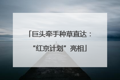 巨头牵手种草直达：“红京计划”亮相