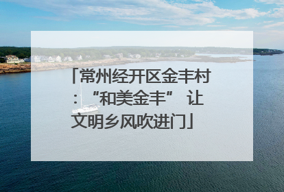 常州经开区金丰村：“和美金丰” 让文明乡风吹进门