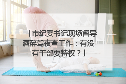 市纪委书记现场督导酒醉驾夜查工作：有没有干部耍特权？