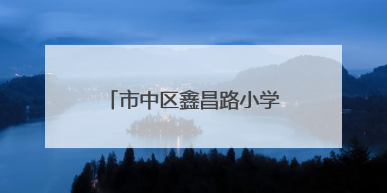 市中区鑫昌路小学：体测防近视并举 助推综合绩效提升