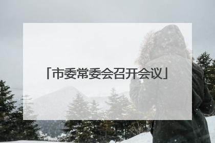 市委常委会召开会议