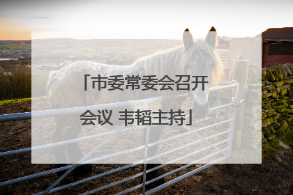 市委常委会召开会议 韦韬主持