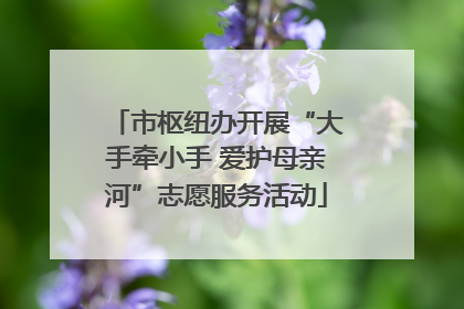 市枢纽办开展“大手牵小手 爱护母亲河”志愿服务活动