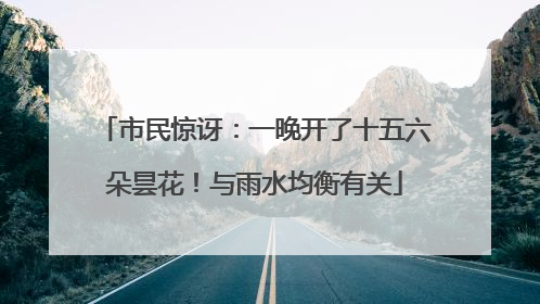 市民惊讶：一晚开了十五六朵昙花！与雨水均衡有关