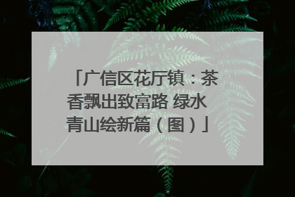 广信区花厅镇：茶香飘出致富路 绿水青山绘新篇（图）