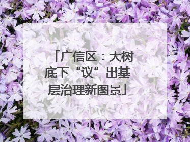 广信区：大树底下“议”出基层治理新图景
