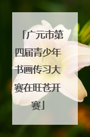 广元市第四届青少年书画传习大赛在旺苍开赛