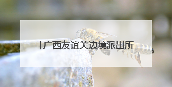 广西友谊关边境派出所开展“全国劳动模范进警营”主题宣讲活动