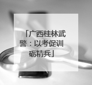 广西桂林武警：以考促训砺精兵