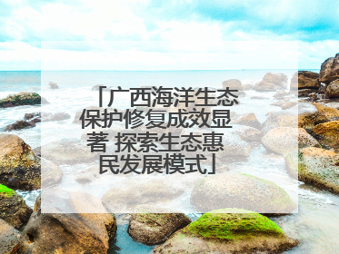 广西海洋生态保护修复成效显著 探索生态惠民发展模式