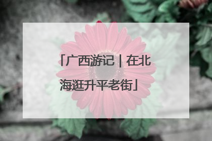 广西游记｜在北海逛升平老街
