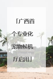 广西首个专业化宠物候机厅启用