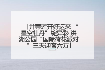 并蒂莲开好运来 “星空牡丹”绽异彩 洪湖公园“国际荷花派对”三天迎客六万