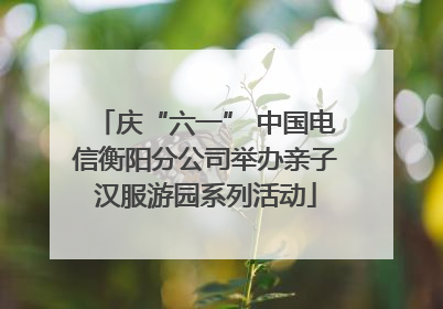 庆“六一” 中国电信衡阳分公司举办亲子汉服游园系列活动