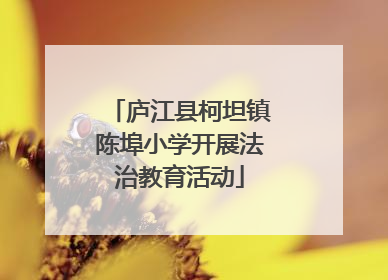 庐江县柯坦镇陈埠小学开展法治教育活动