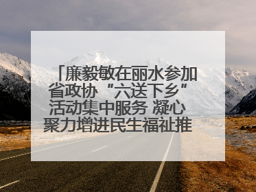 廉毅敏在丽水参加省政协“六送下乡”活动集中服务 凝心聚力增进民生福祉推进共同富裕