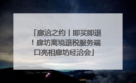 廊洽之约丨即买即退！廊坊离境退税服务端口亮相廊坊经洽会