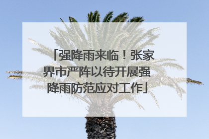 强降雨来临！张家界市严阵以待开展强降雨防范应对工作