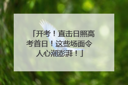 开考！直击日照高考首日！这些场面令人心潮澎湃！