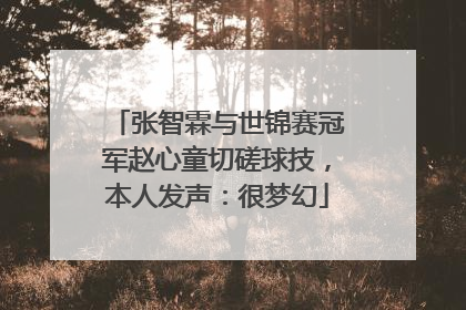 张智霖与世锦赛冠军赵心童切磋球技，本人发声：很梦幻
