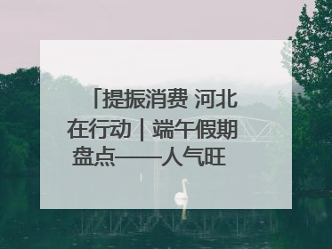 提振消费 河北在行动｜端午假期盘点——人气旺 活力足 端午经济“热浪”迭起