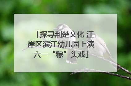 探寻荆楚文化 江岸区滨江幼儿园上演六一“粽”头戏