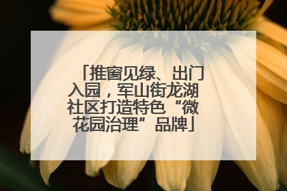 推窗见绿、出门入园，军山街龙湖社区打造特色“微花园治理”品牌