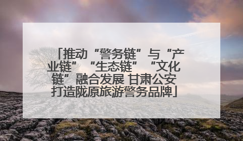 推动“警务链”与“产业链”“生态链”“文化链”融合发展 甘肃公安打造陇原旅游警务品牌