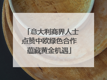 意大利商界人士点赞中欧绿色合作蕴藏黄金机遇