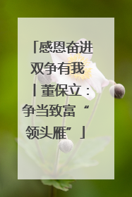 感恩奋进 双争有我丨董保立：争当致富“领头雁”