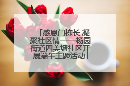 感恩门栋长 凝聚社区情——杨园街道四美塘社区开展端午主题活动