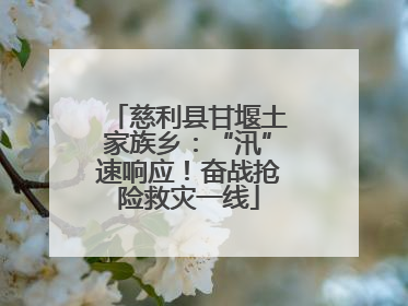 慈利县甘堰土家族乡：“汛”速响应！奋战抢险救灾一线