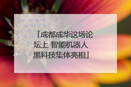 成都成华这场论坛上 智能机器人黑科技集体亮相