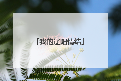我的辽阳情结