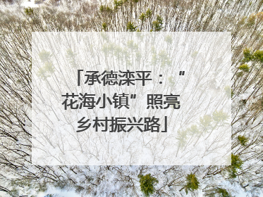 承德滦平：“花海小镇”照亮乡村振兴路