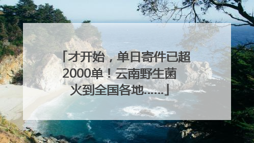 才开始，单日寄件已超2000单！云南野生菌火到全国各地……