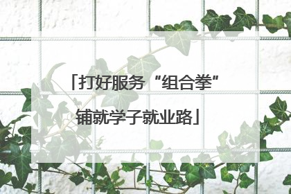打好服务“组合拳” 铺就学子就业路