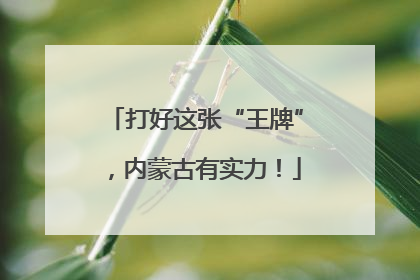 打好这张“王牌”，内蒙古有实力！