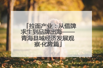 拉面产业：从借牌求生到品牌出海——青海县域经济发展观察·化隆篇