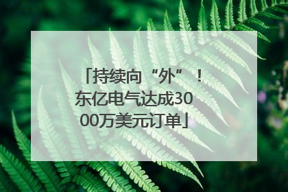 持续向“外”！东亿电气达成3000万美元订单