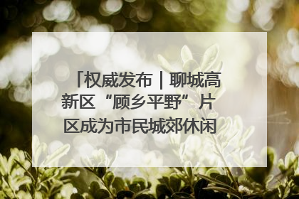 权威发布｜聊城高新区“顾乡平野”片区成为市民城郊休闲全新目的地