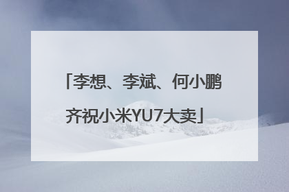 李想、李斌、何小鹏齐祝小米YU7大卖
