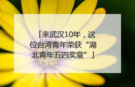 来武汉10年，这位台湾青年荣获“湖北青年五四奖章”