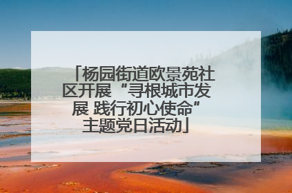杨园街道欧景苑社区开展“寻根城市发展 践行初心使命”主题党日活动
