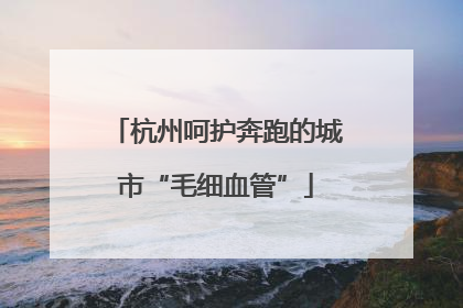 杭州呵护奔跑的城市“毛细血管”