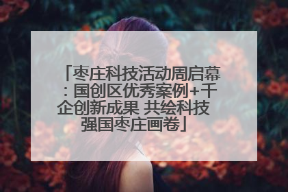 枣庄科技活动周启幕：国创区优秀案例+千企创新成果 共绘科技强国枣庄画卷