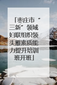 枣庄市“三新”领域妇联组织领头雁素质能力提升培训班开班
