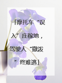 摩托车“误入”庄稼地，驾驶人“撒泼”终难逃