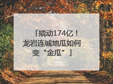撬动174亿！龙岩连城地瓜如何变“金瓜”